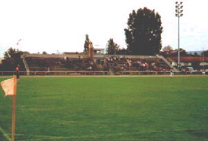 SpVgg 1903 Ingelheim  Stadion am Blumengarten 